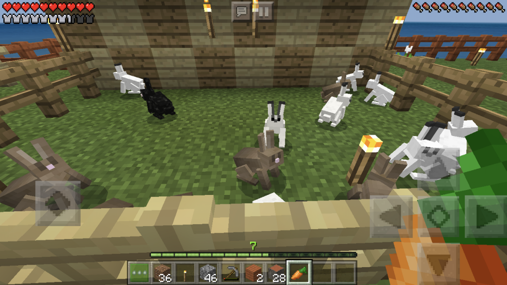 統合版マイクラ ウサギの繁殖 飼い方 ウサギ小屋を建てたよ 10 Sym Blog
